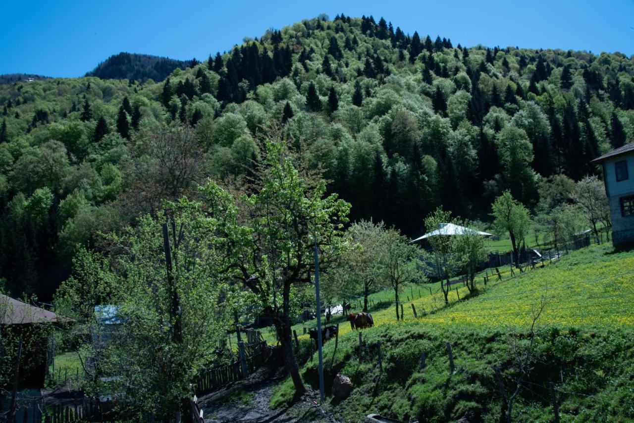 Oda Khulo Exterior photo